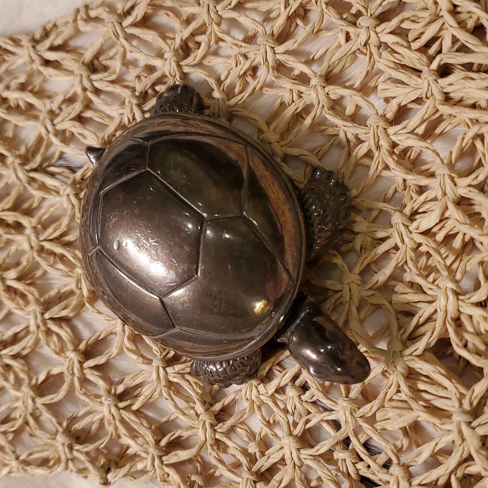 Turtle Music Box